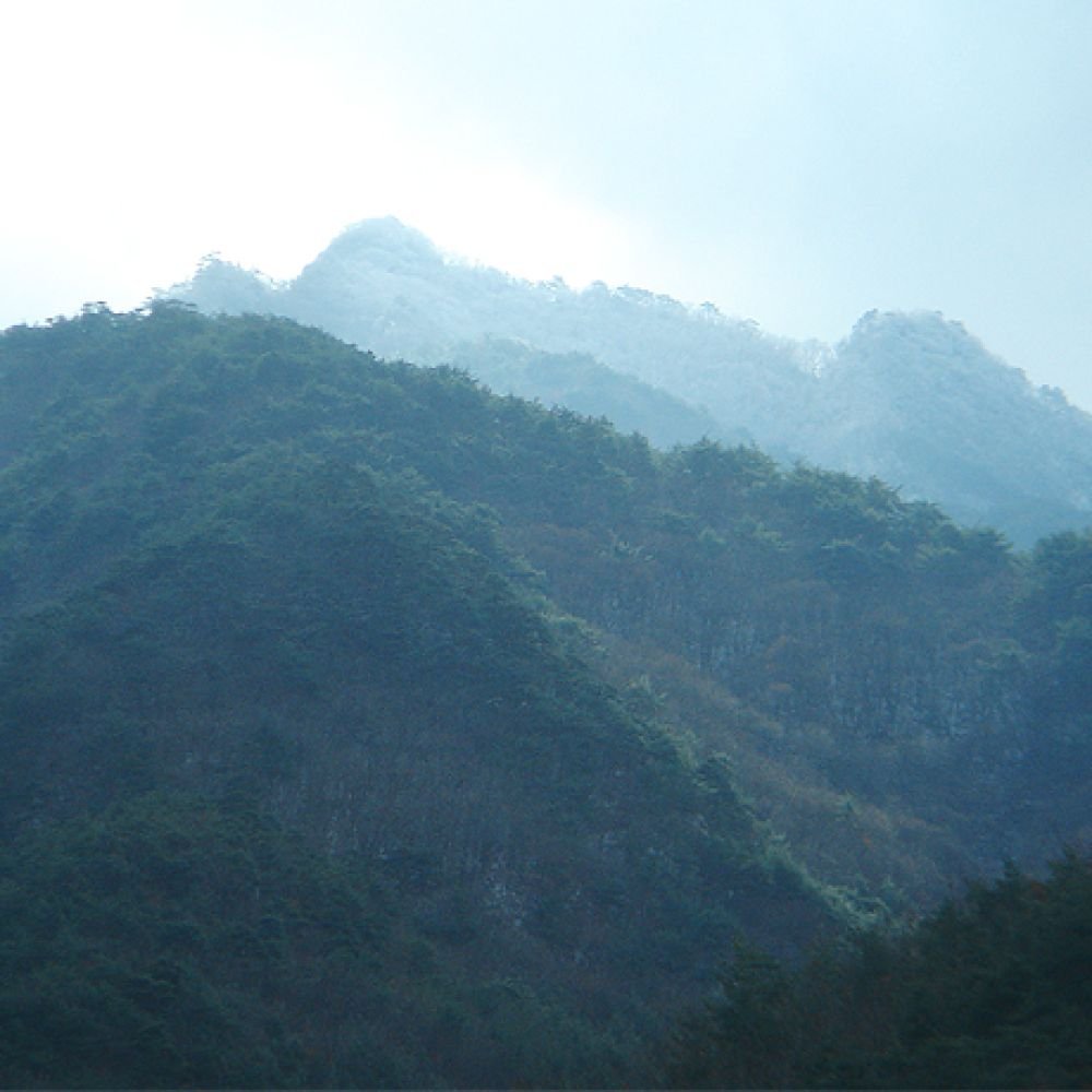 주간전경